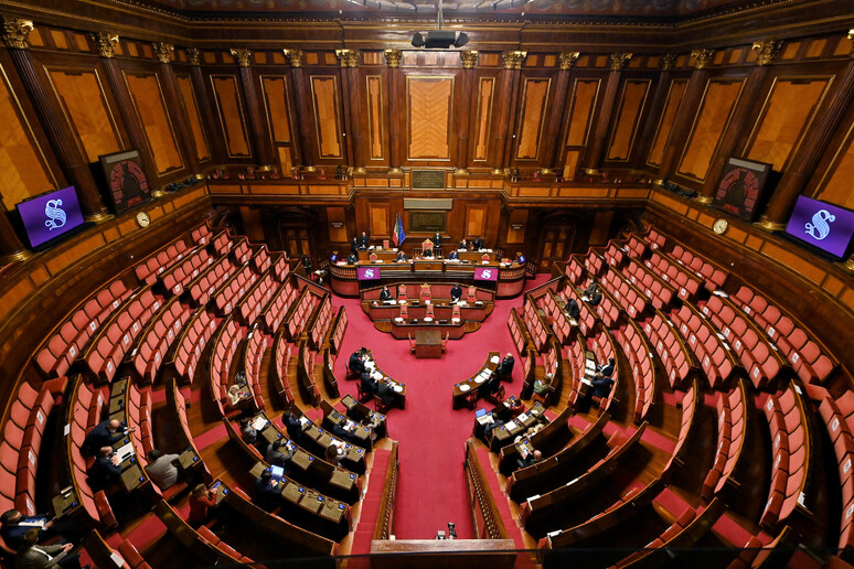 L 'Aula del Senato - RIPRODUZIONE RISERVATA