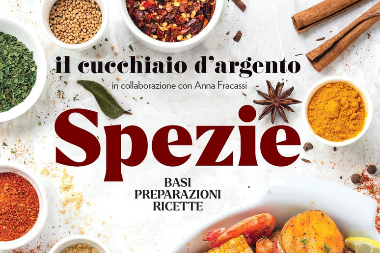 Un viaggio nel mondo delle spezie in 100 ricette - RIPRODUZIONE RISERVATA