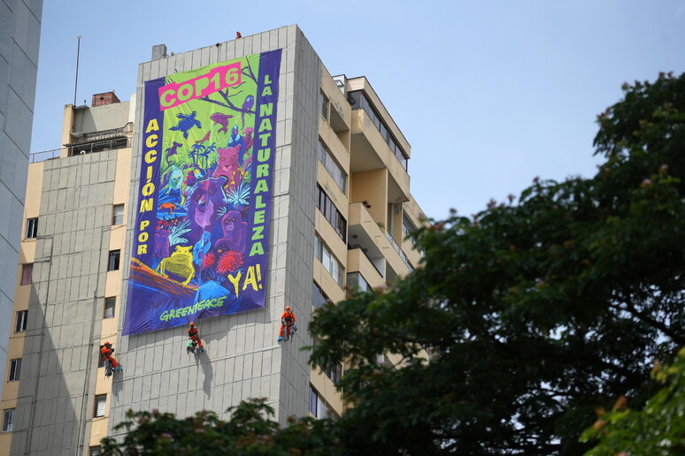 Manifesto do Greenpeace em Bogotá por ocasião da COP16 © ANSA/EPA