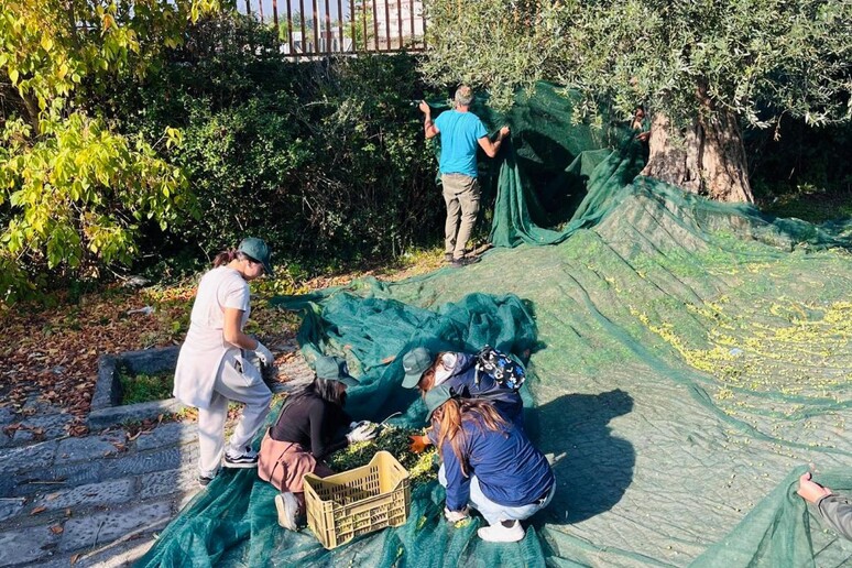 - RIPRODUZIONE RISERVATA