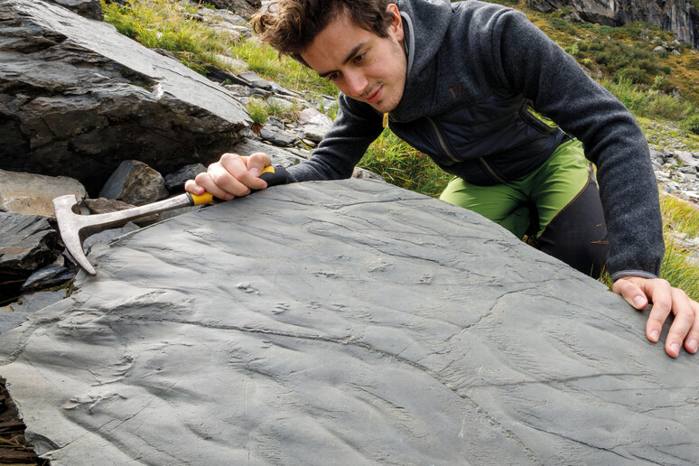 Especialista realiza análise em pegadas pré-históricas encontradas na Valtellina - TODOS OS DIREITOS RESERVADOS