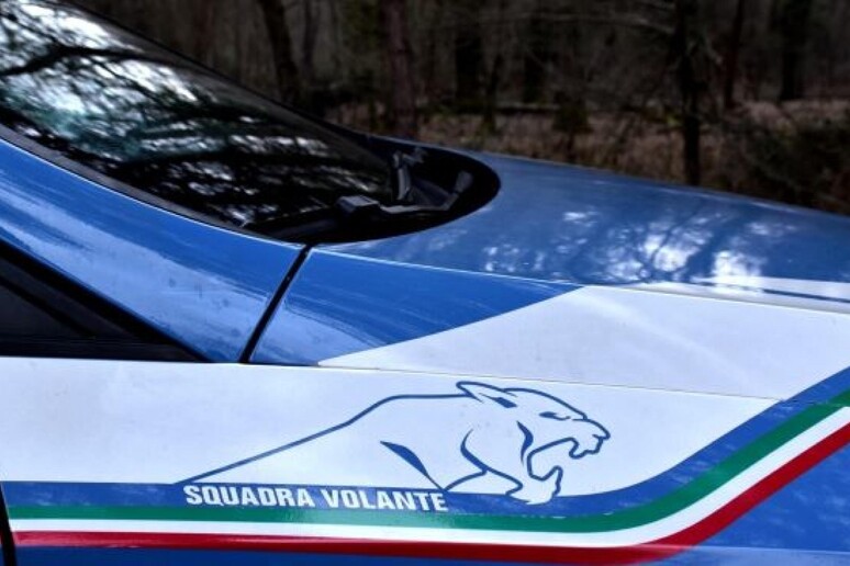 Volante polizia - RIPRODUZIONE RISERVATA