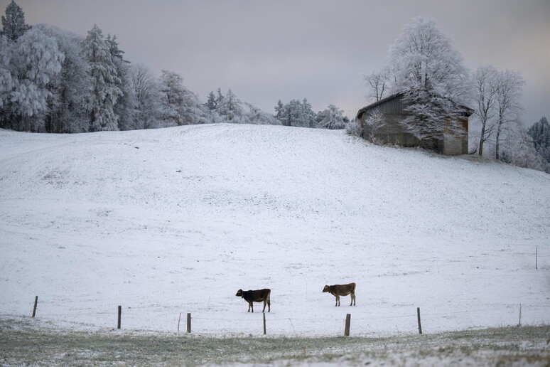 © ANSA/EPA