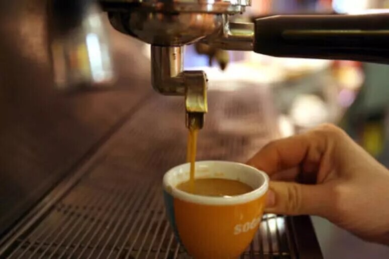 Para el 70% de los italianos beber café es una experiencia sensorial (ANSA) - TODOS LOS DERECHOS RESERVADOS