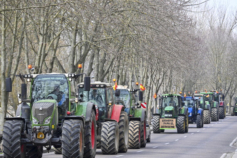 Protestas de productores agropecuarios de la UE con sus tractores en España - TODOS LOS DERECHOS RESERVADOS