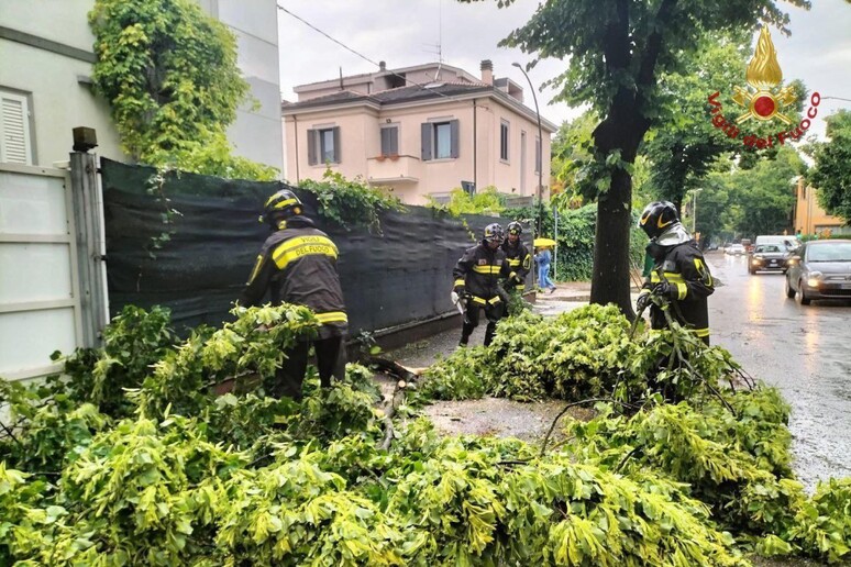 Maltempo nel Forlivese - RIPRODUZIONE RISERVATA