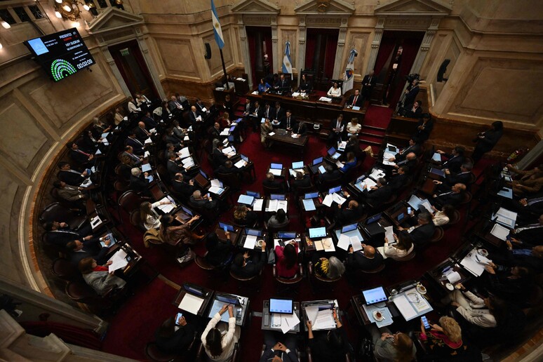 Senado argentino aprovou Lei de Bases © ANSA/AFP