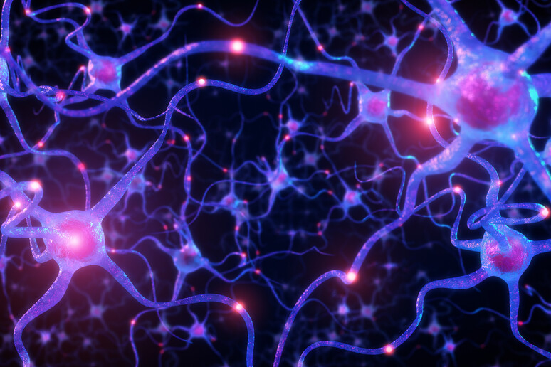 Rappresentazione artistica di connessioni fra i neuroni (fonte: onimate, iStock) - RIPRODUZIONE RISERVATA