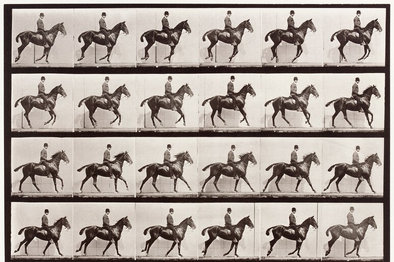 Cavalcata di Daisy, di Eadweard Muybridge (fonte: Museo Poldi Pezzoli) - RIPRODUZIONE RISERVATA