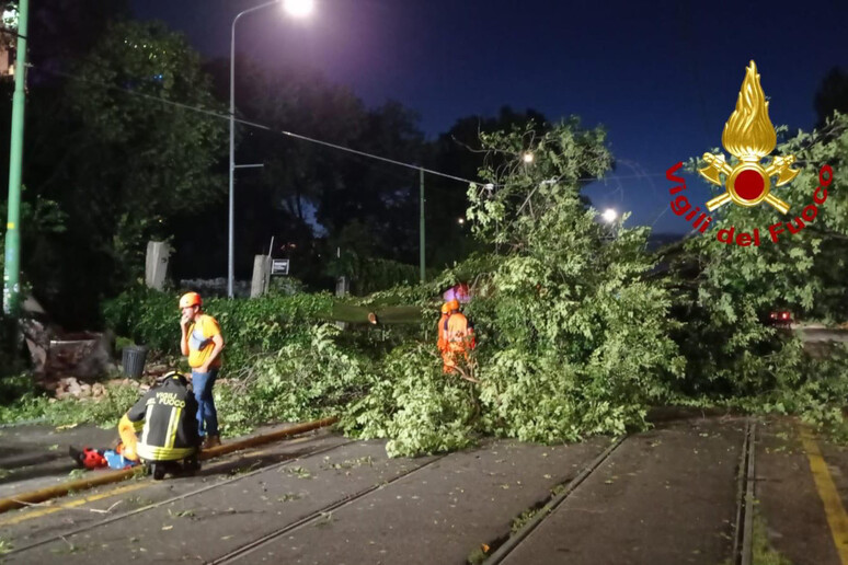 Ao menos 20 árvores caíram em Milão - TODOS OS DIREITOS RESERVADOS
