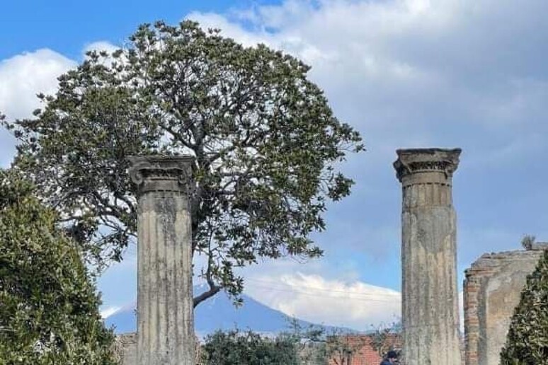 Ambiente e cultura, premi per il parco archeologico di Pompei - TODOS OS DIREITOS RESERVADOS