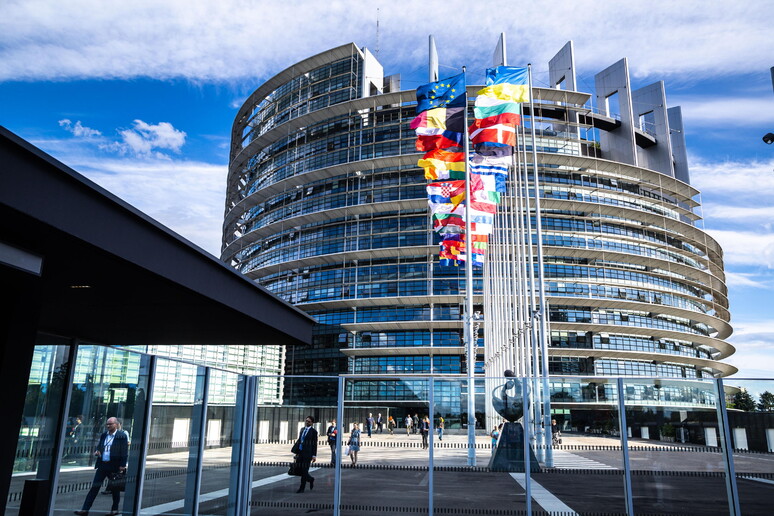 El Parlamento Europeo en Estrasburgo, menos mujeres y menos bancas - TODOS LOS DERECHOS RESERVADOS