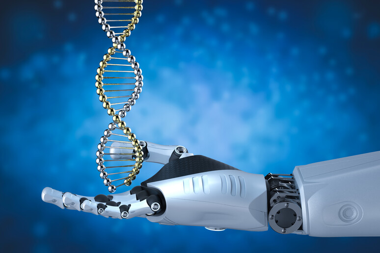 Il rapido sviluppo dei robot con componenti biologiche richede nuove regole (fonte: PhonlamaiPhoto, iStock) - RIPRODUZIONE RISERVATA