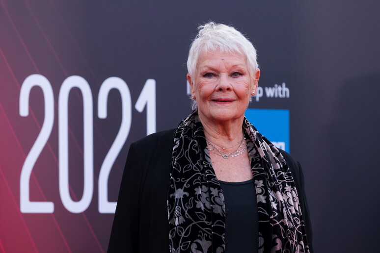 Voz de Judi Dench está no alvo de proposta da Meta - TODOS OS DIREITOS RESERVADOS