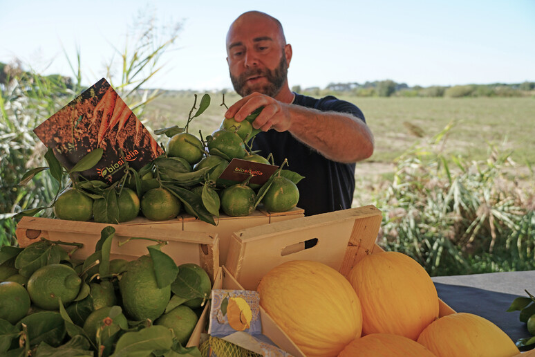 - RIPRODUZIONE RISERVATA