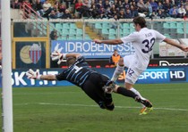 Matri festeggia con una doppietta l'esordio con la maglia della Fiorentina